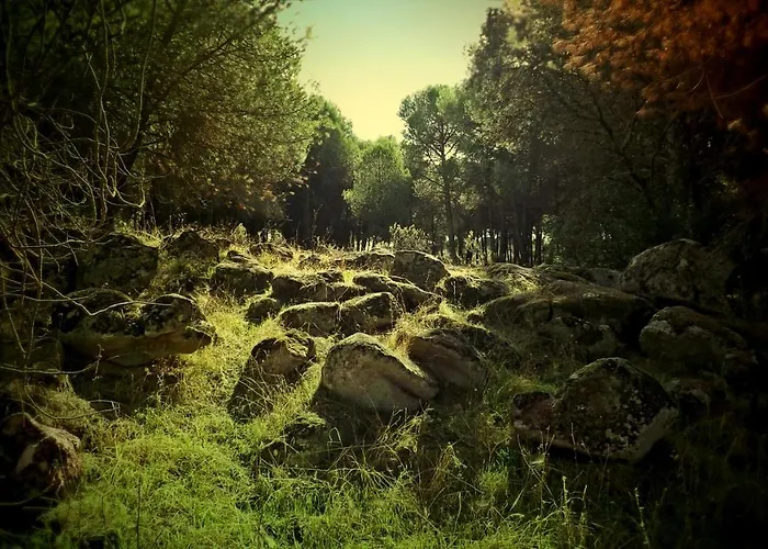 Vina Concepcion Hébergement de vacances Andújar